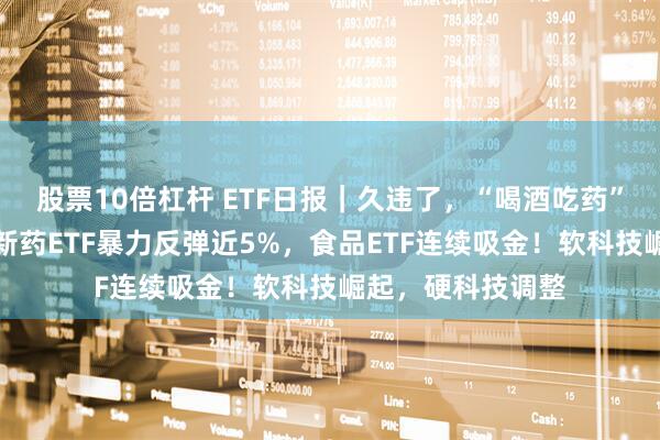 股票10倍杠杆 ETF日报｜久违了，“喝酒吃药”行情！港股通创新药ETF暴力反弹近5%，食品ETF连续吸金！软科技崛起，硬科技调整
