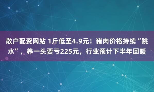 散户配资网站 1斤低至4.9元！猪肉价格持续“跳水”，养一头要亏225元，行业预计下半年回暖